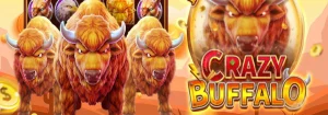 Read more about the article What Makes Crazy Buffalo the Ultimate Slots?